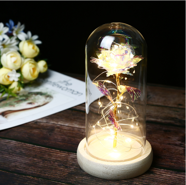 Mothers Day Gift Enchanted Forever Rose Flower In Glass LED Light Home Decoration