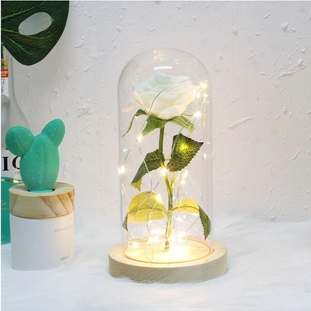 Mothers Day Gift Enchanted Forever Rose Flower In Glass LED Light Home Decoration